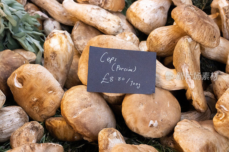 伦敦萨瑟克市博罗市场的便士包蘑菇(Boletus edulis)